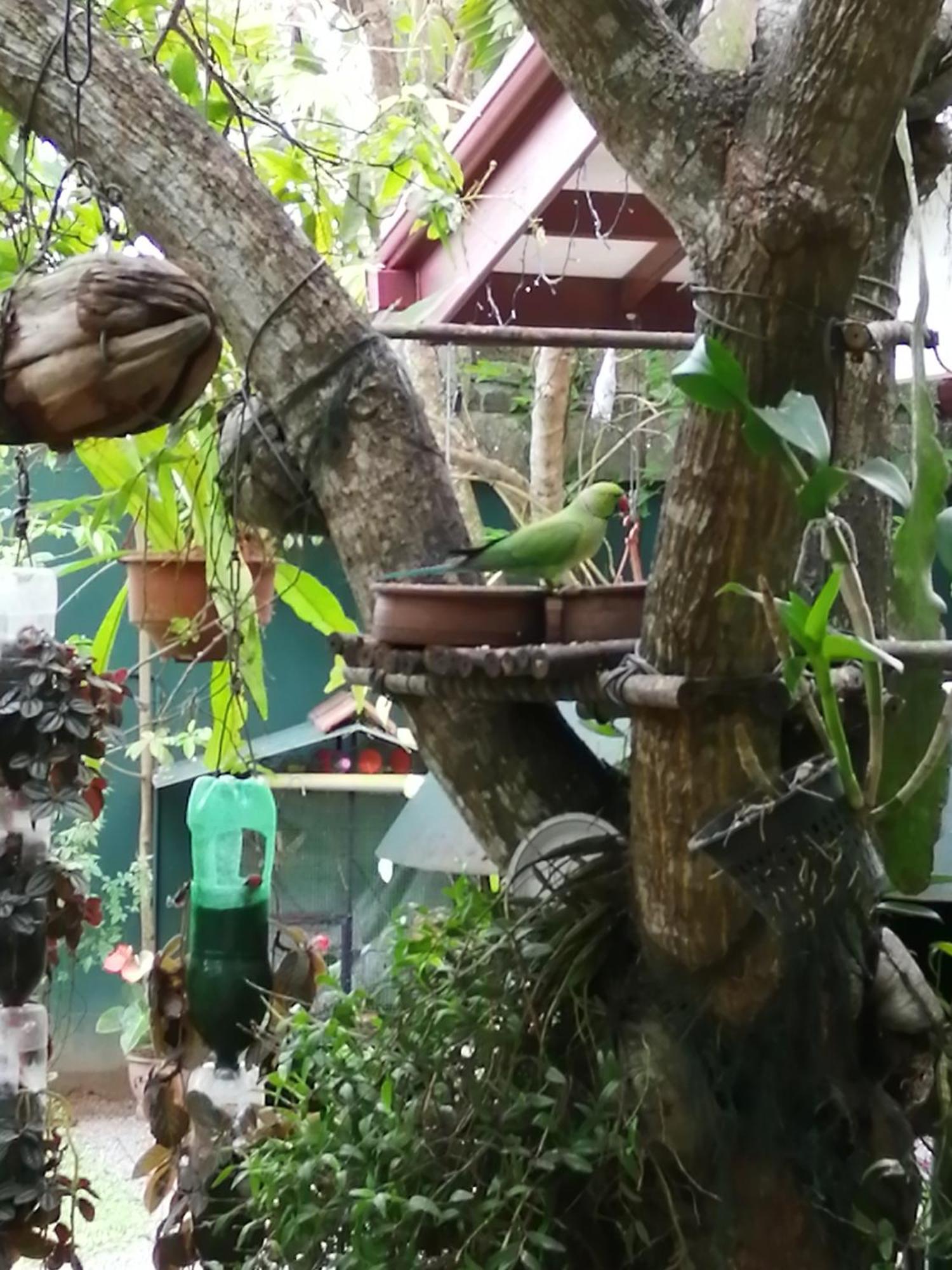 Kanthi Holiday Rest Homestay Mirissa Ngoại thất bức ảnh